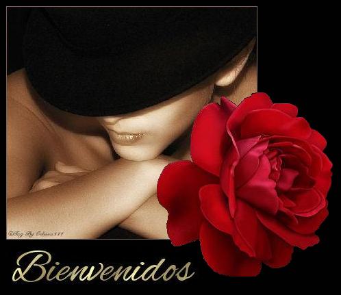 BIENVENIDOS